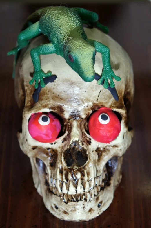 a skull with red eyes, a green lizard on top and a skeleton head