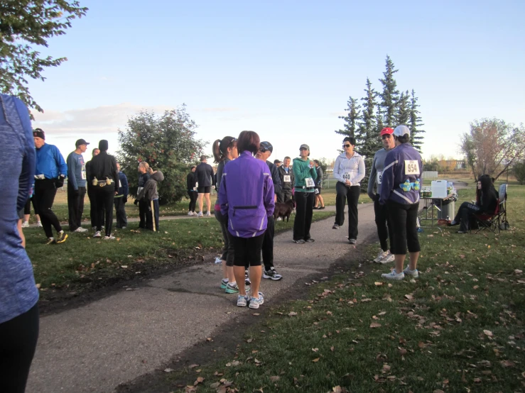 a group of people walking along a pathway