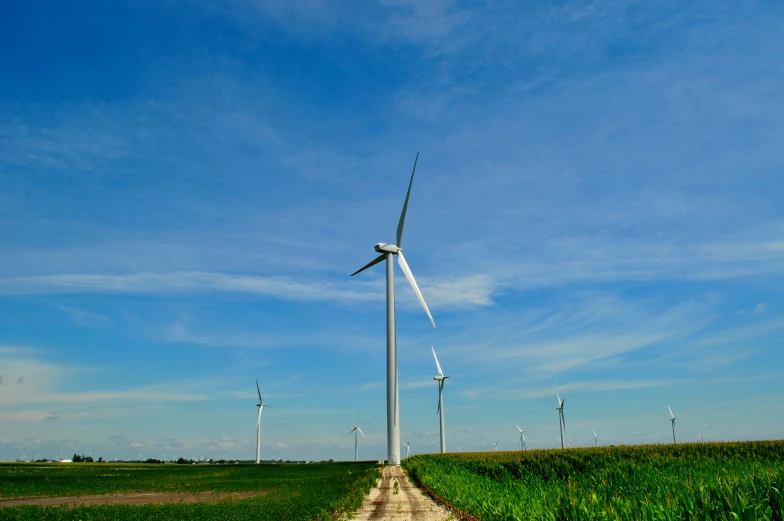 a dirt road with green crops and a windmill in the background