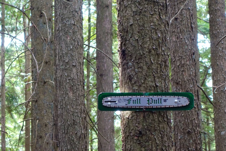 a sign on a post next to a forest