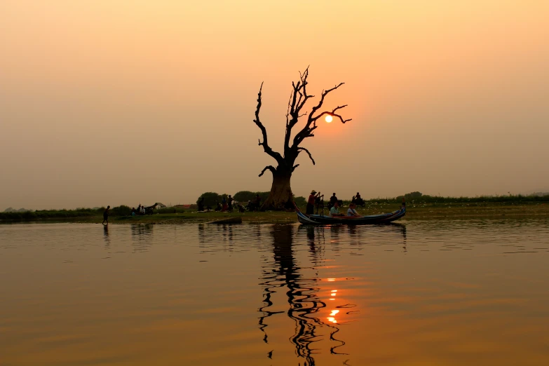 two boats floating on the water near a tree