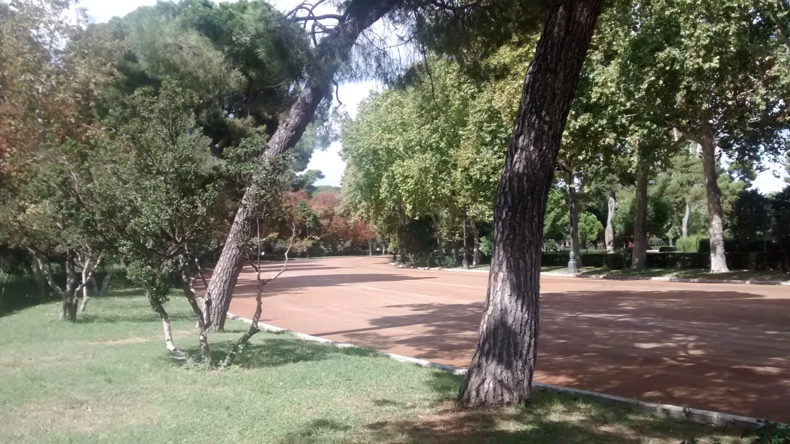 the green park has a lot of trees on each side of it