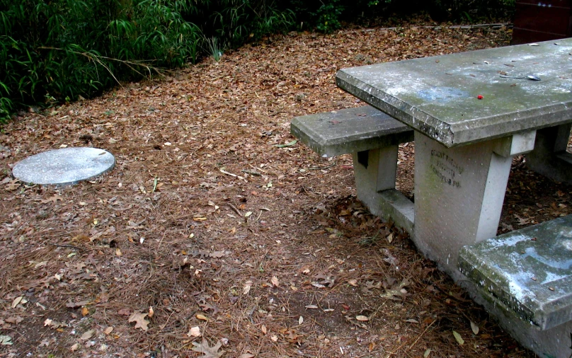 a picnic table in the middle of the woods