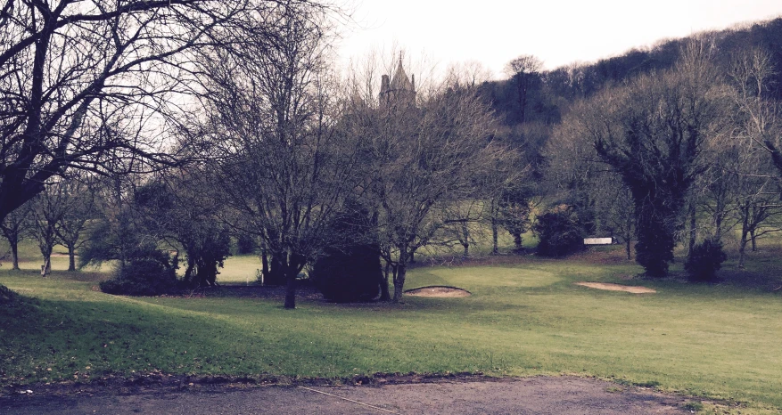 a view of the countryside with several trees on one side and a field on the other