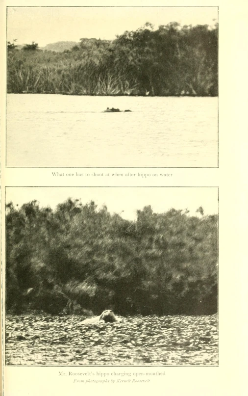 three pictures showing the various parts of water and land