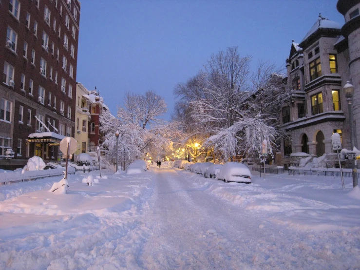 snow covered streets in an alley with benches and trees