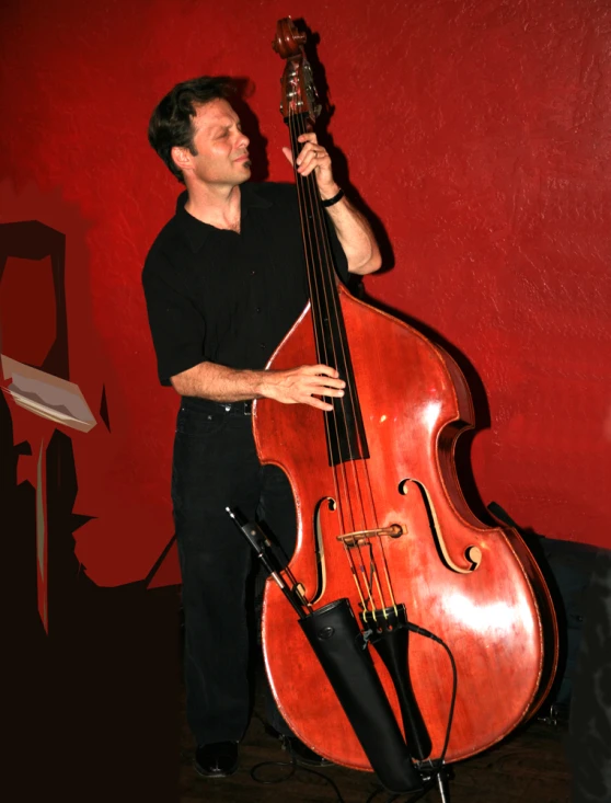 a man that is holding a cello near a microphone