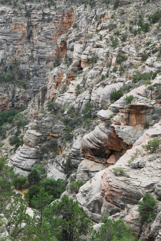 a view of a large mountain top with a few trees