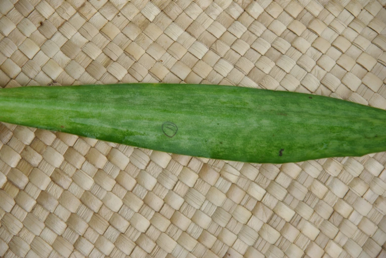 a single, very bright green leaf sitting on top of a woven cloth