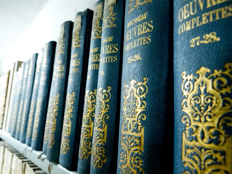 blue and gold books line a wall