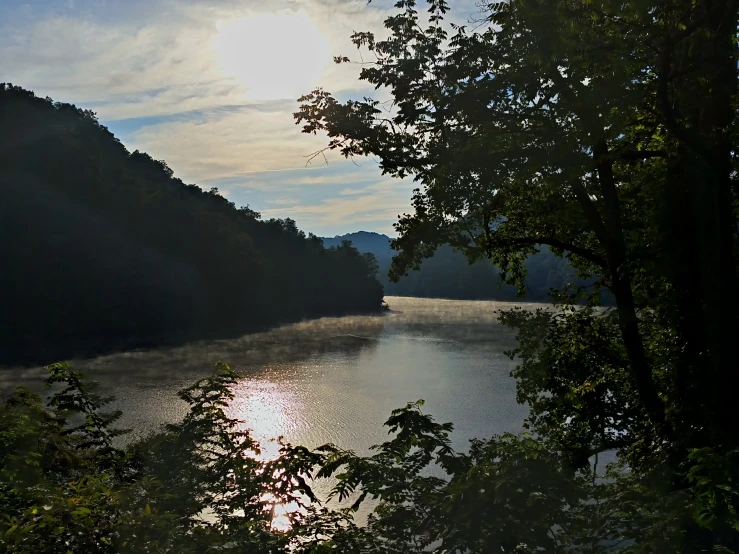 the sun is shining in the forest area by the river