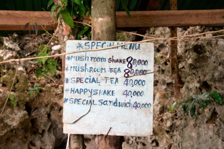 a sign is posted on a tree nch and in front of a rock wall