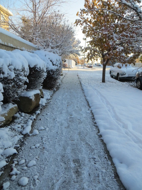 a snowy road with lots of cars and trees