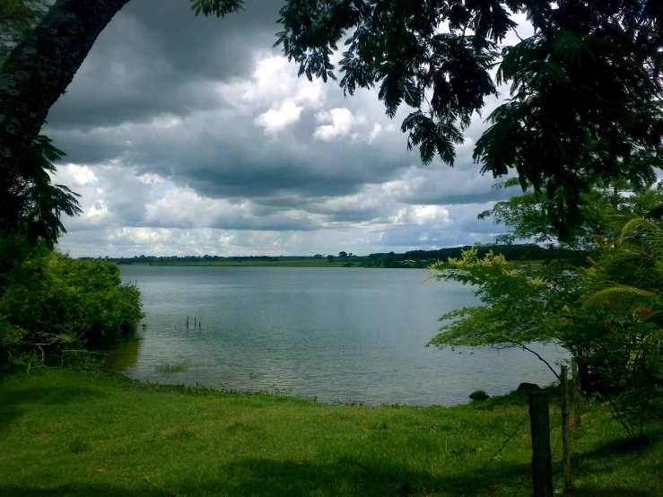 water surrounded by trees and green grass under a cloudy sky