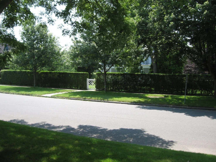 a street and trees are lined with trees