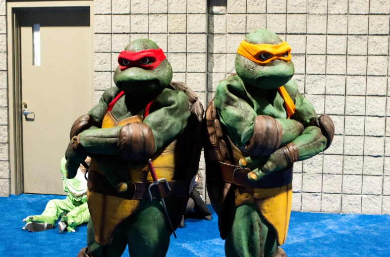 two turtles in costume are on display