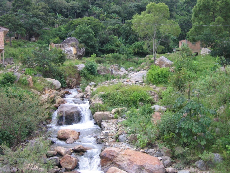 a small waterfall running between a forest with rocks