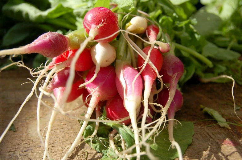 a close up of several radishes and leaves