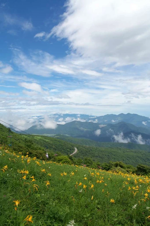 a view of mountains, grass and flowers under a blue sky