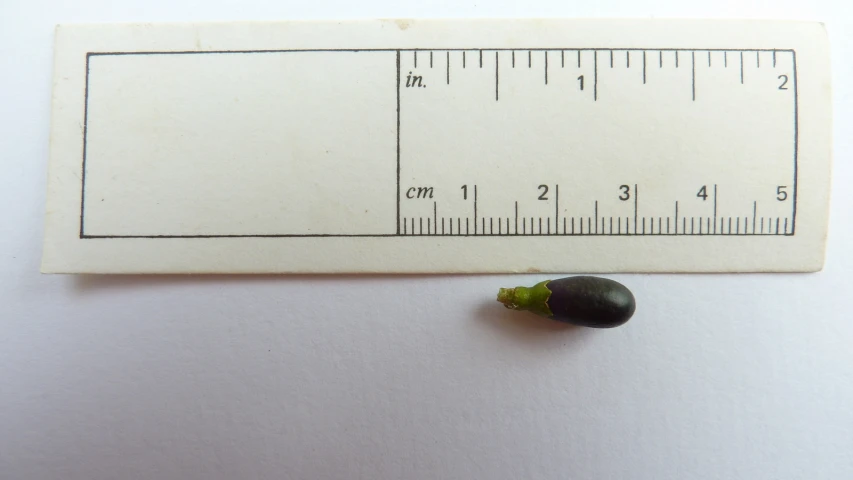 a ruler with a green cap sitting next to a squash