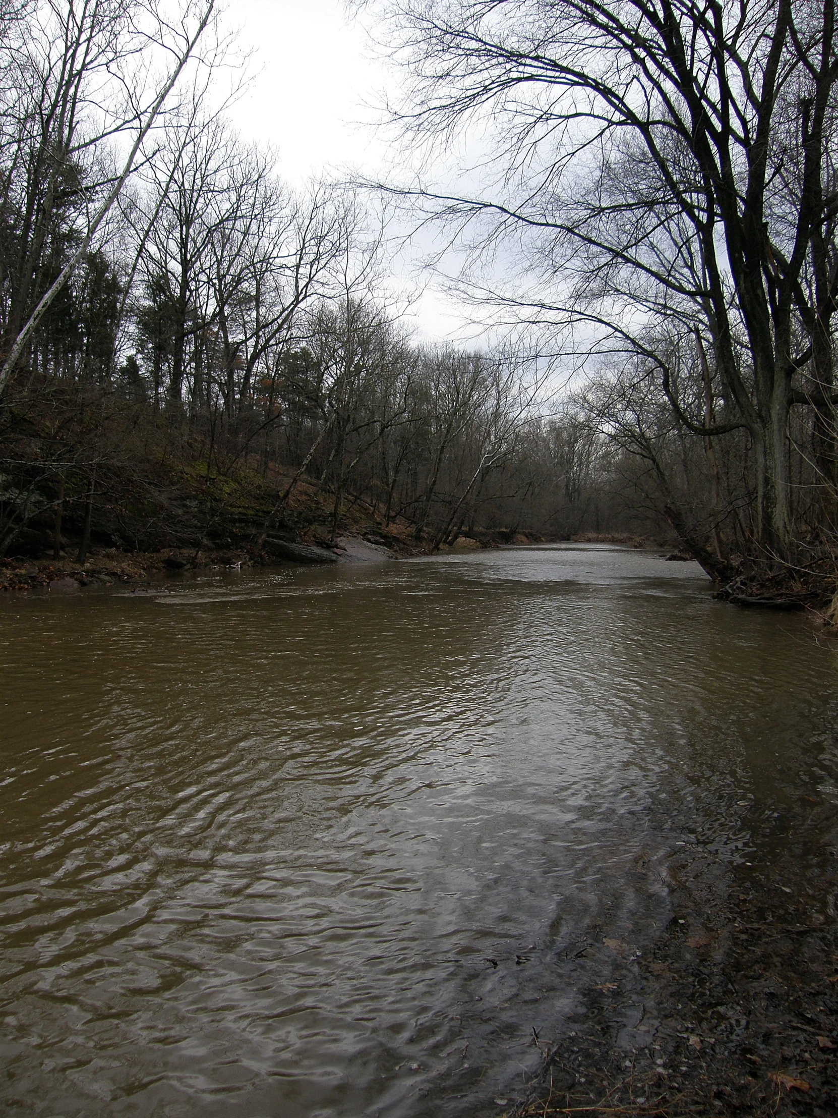 the view of a river near trees covered in water