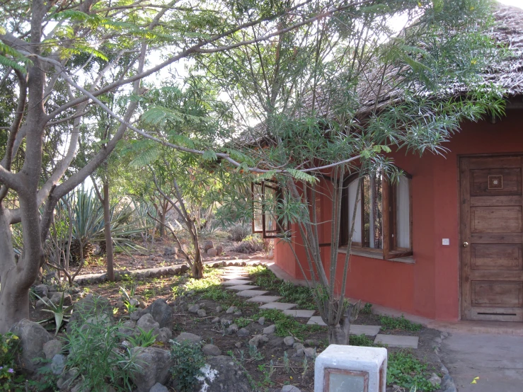 there are several trees growing next to the house