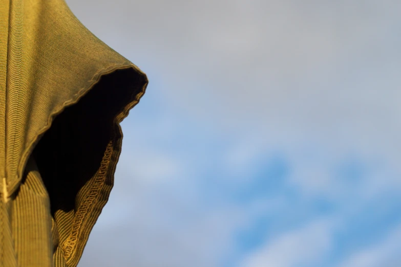 the top half of a banana hanging in front of a blue sky