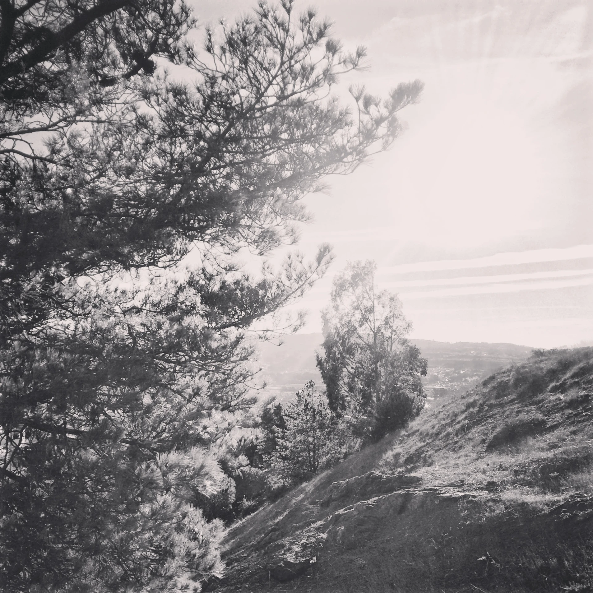 a scenic s of some trees and mountains