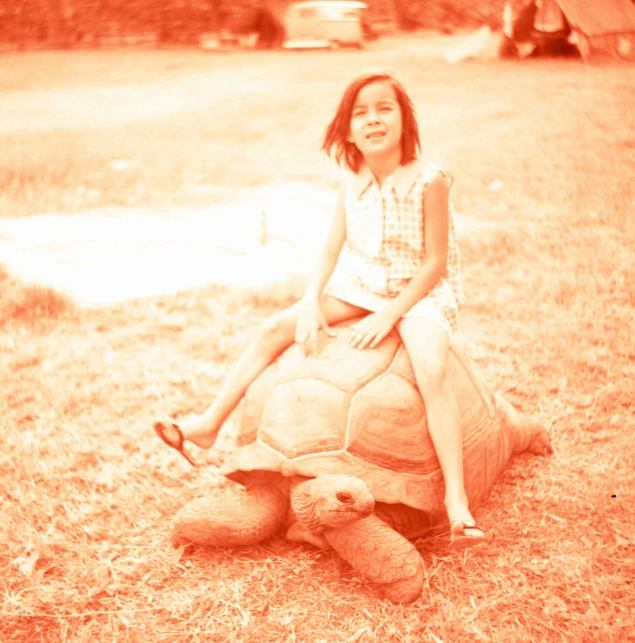 a girl is riding a stuffed turtle outside