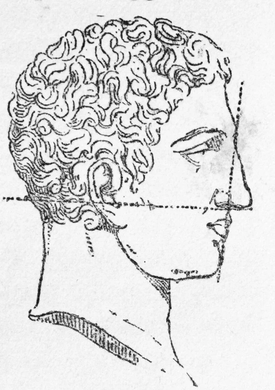 a drawing of the head and neck of a man with curly hair