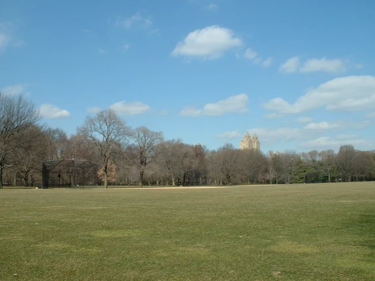 a big green field that is covered in trees