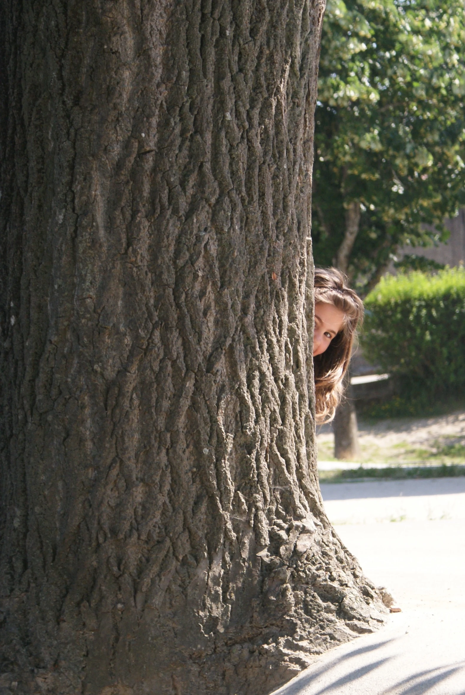 a girl hiding behind a tree in the sun