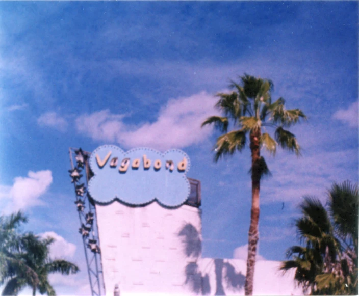 a palm tree with some signs on it