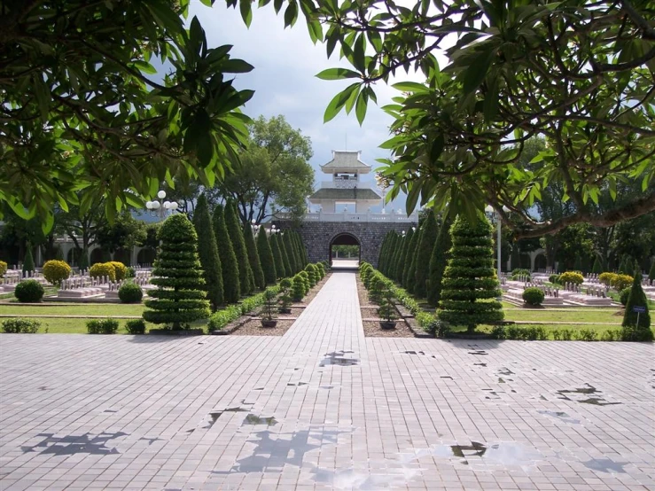 there are trees lined and on the walkway