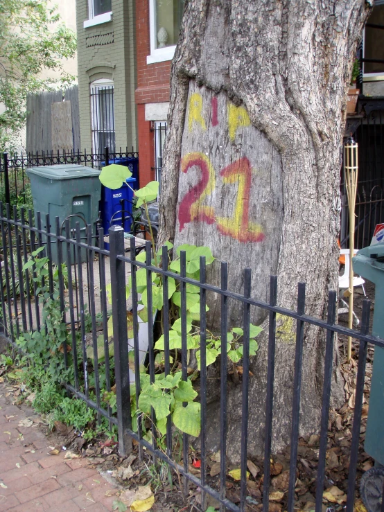 graffiti written on a tree behind a fence in front of buildings