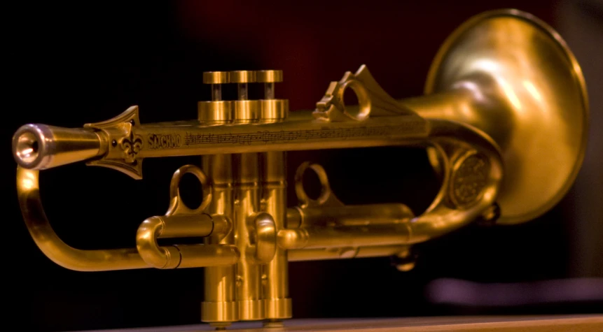 an instrument has gold fittings on it