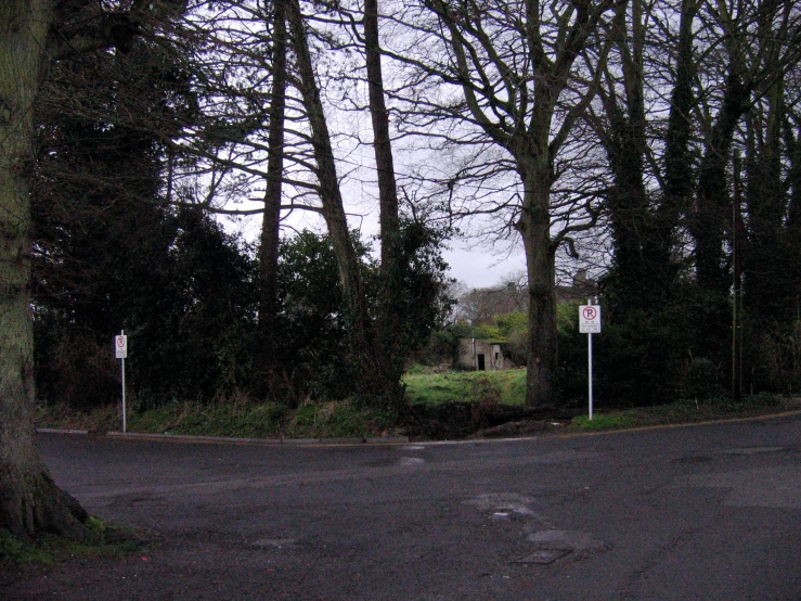 a couple of trees that are by the street