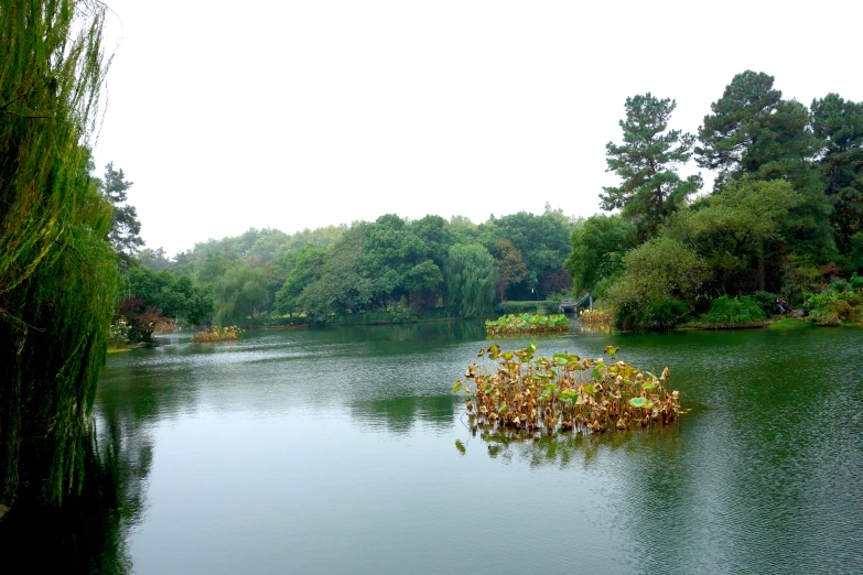 a beautiful view of a small lake, with trees in the background