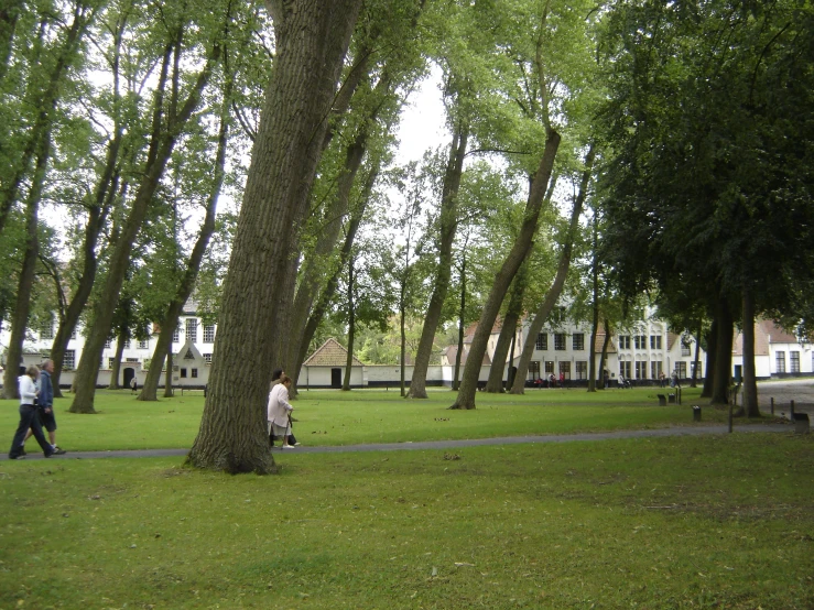 two people are walking by the tree lined walk way