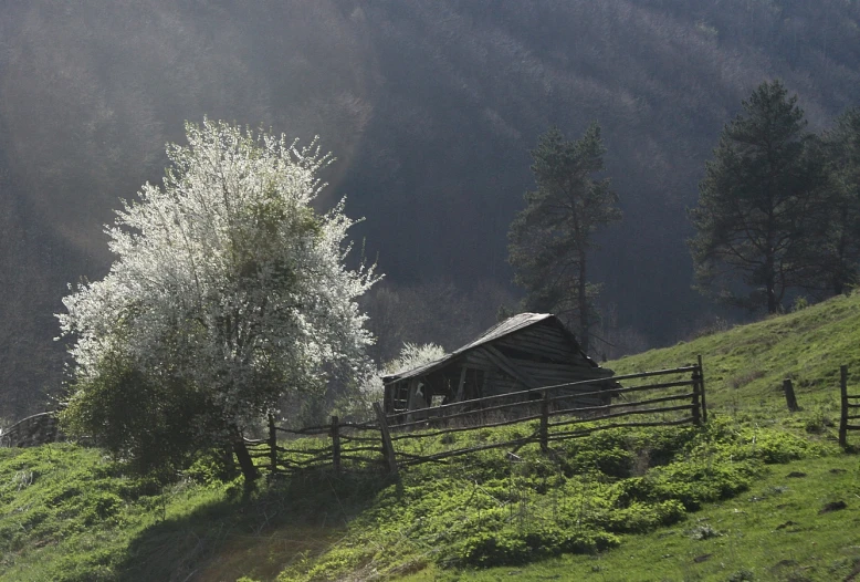 a farm house nestled between trees and hills