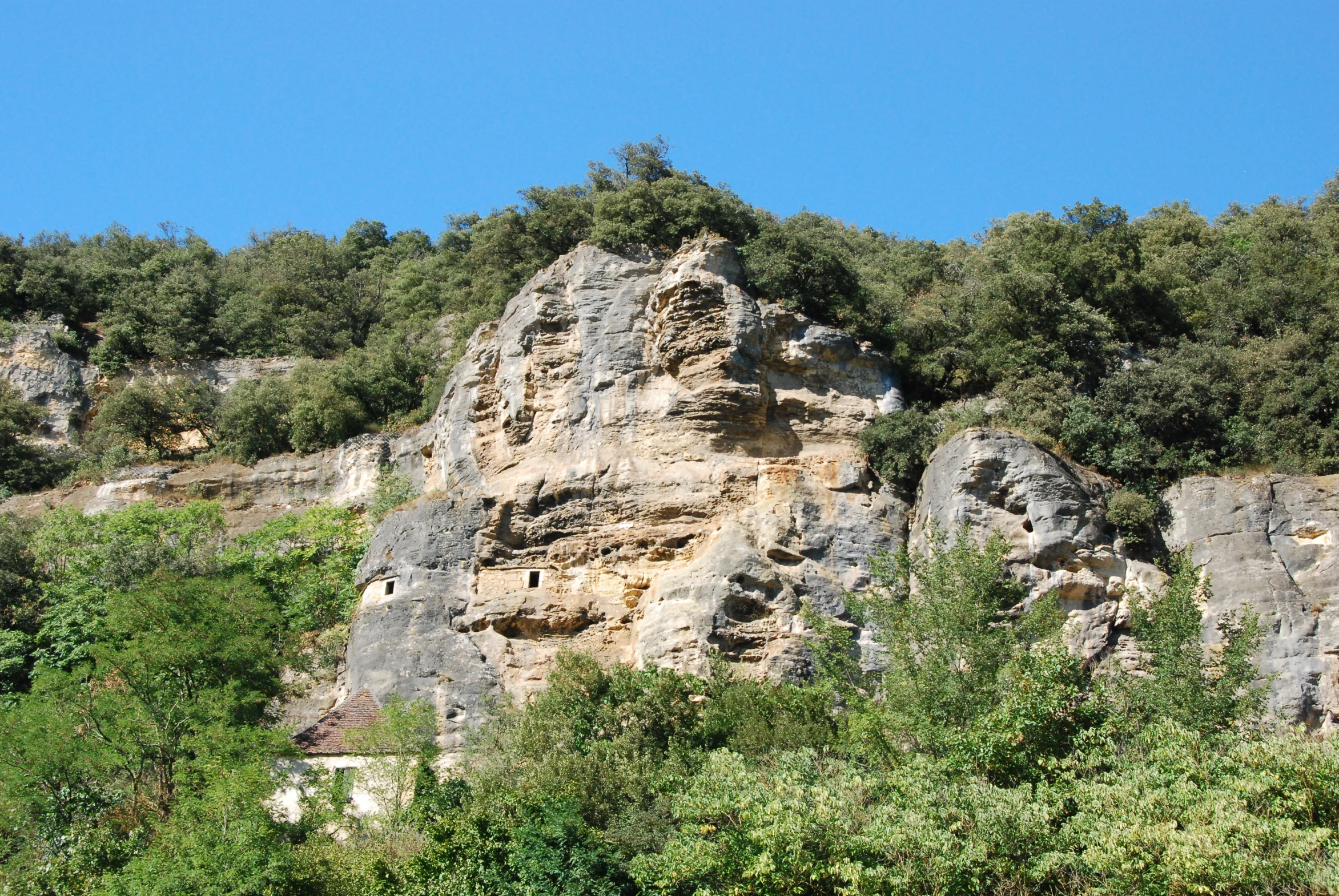 a close up view of rock formation with trees in the background