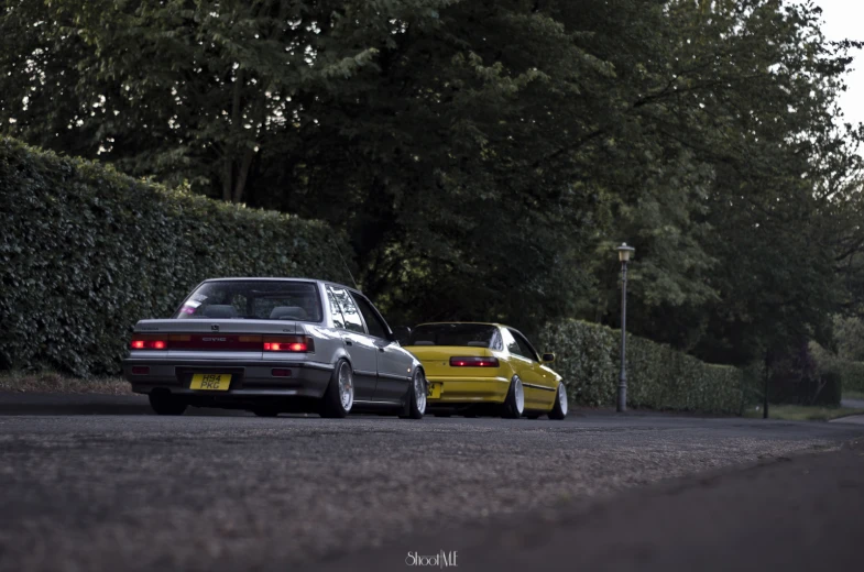 two cars on street next to trees