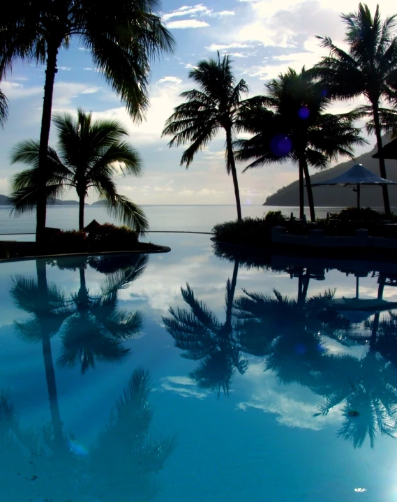 a large pool that is surrounded by palm trees