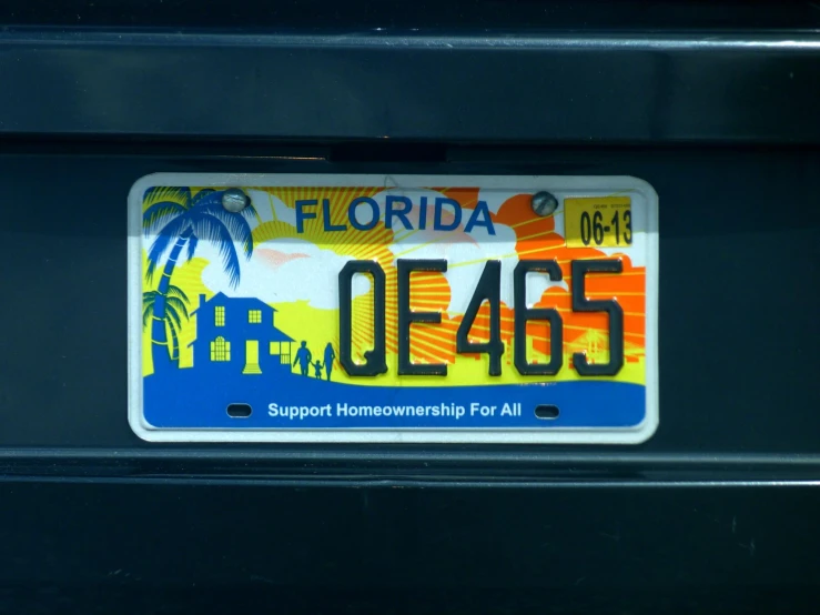 a florida plate with a beach scene and palm trees