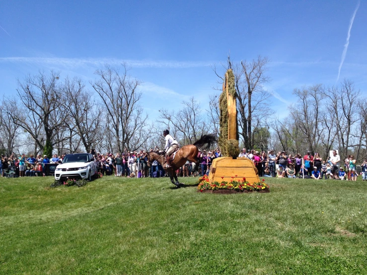 a person riding on the back of a horse next to a crowd of people