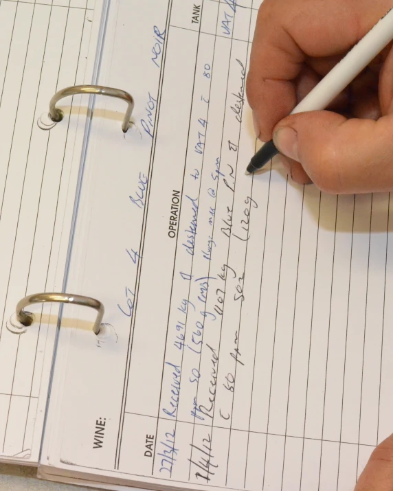 a person using a pen on a page that includes lines