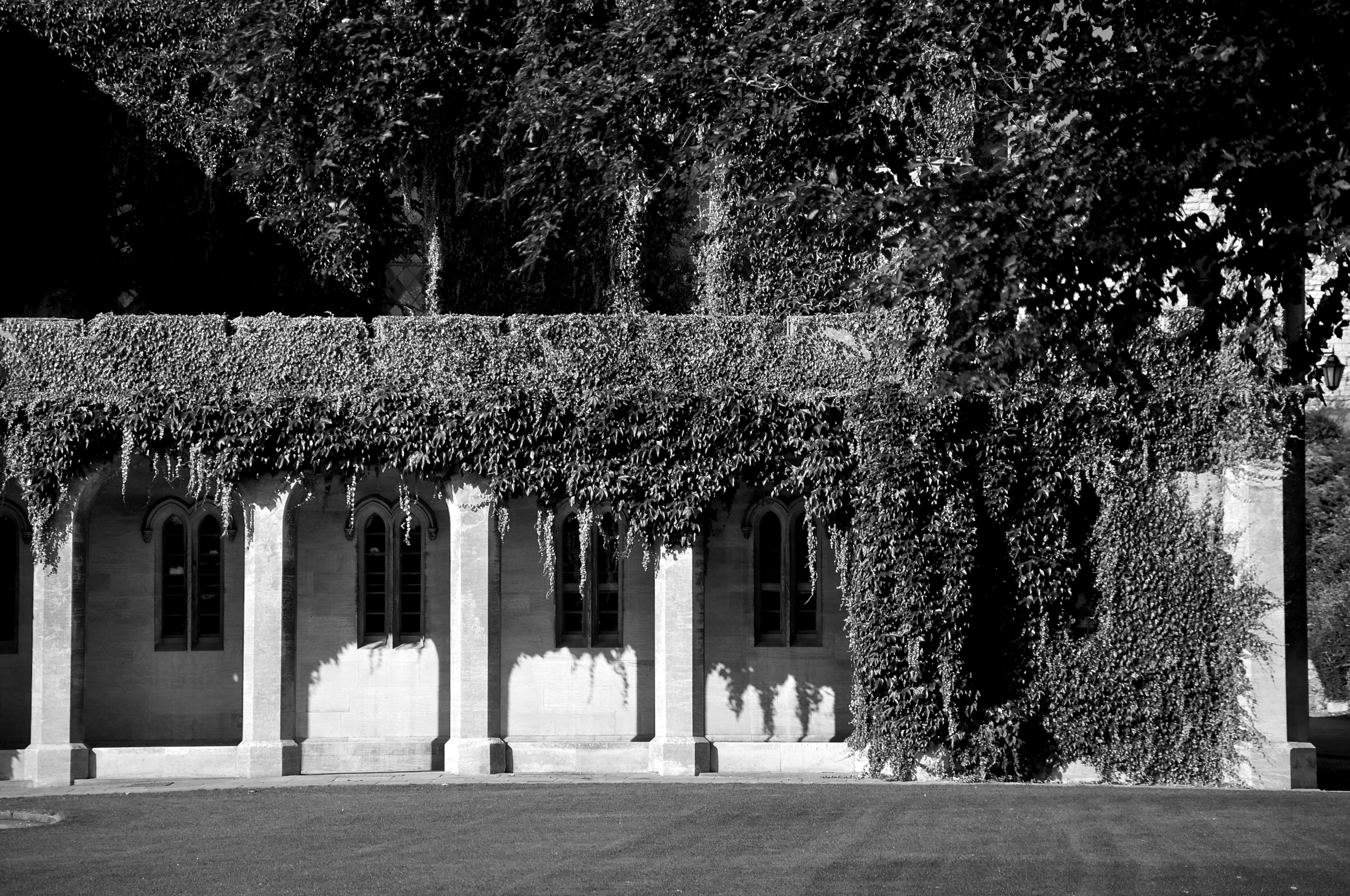 a black and white po of some buildings