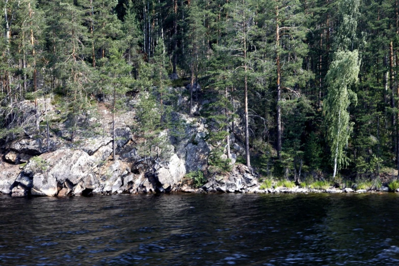 an island in the woods near the water