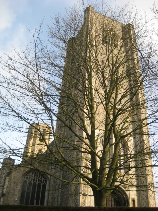 the top of an old building with a tall tower and window at the base of a tree