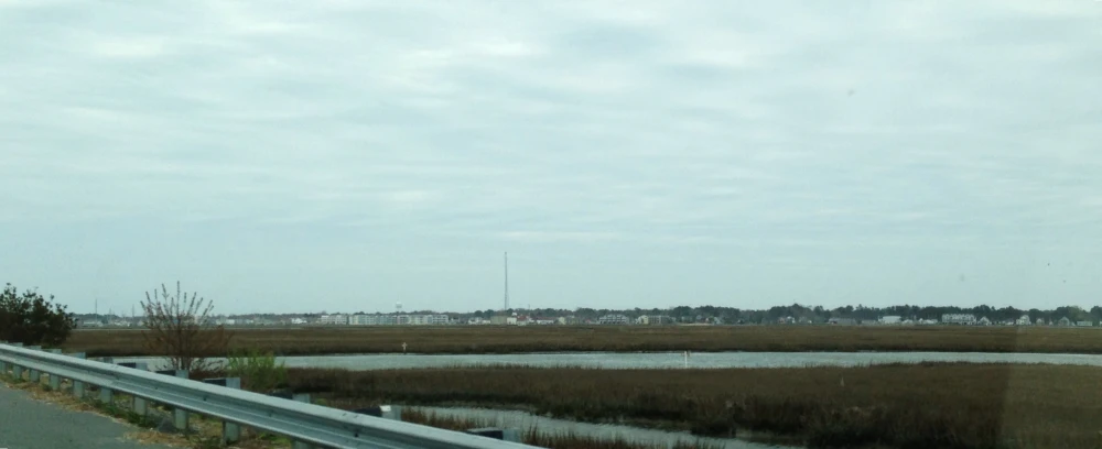 the back of a car driving down a highway past a marshy area
